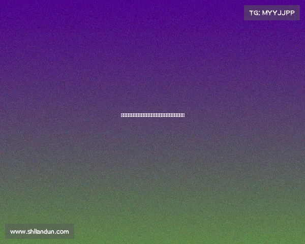 法甲球探体系分析及其在全球足球人才挖掘中的独特优势