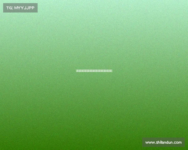 雷霆崛起：从西部劲旅到未来冠军之路的蜕变与挑战